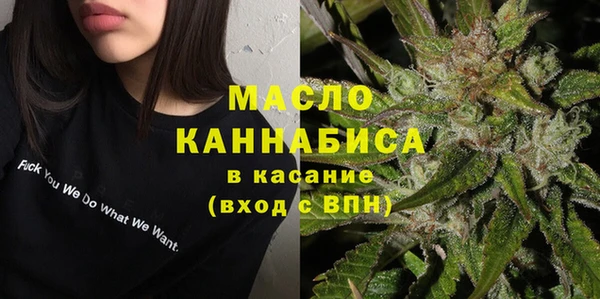 эйфоретик Каменка