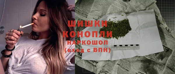 эйфоретик Каменка